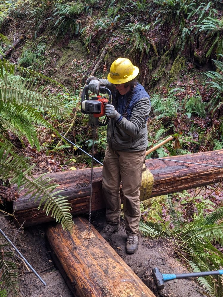 A WCC members drills a hole into a log at the base of a bridge.